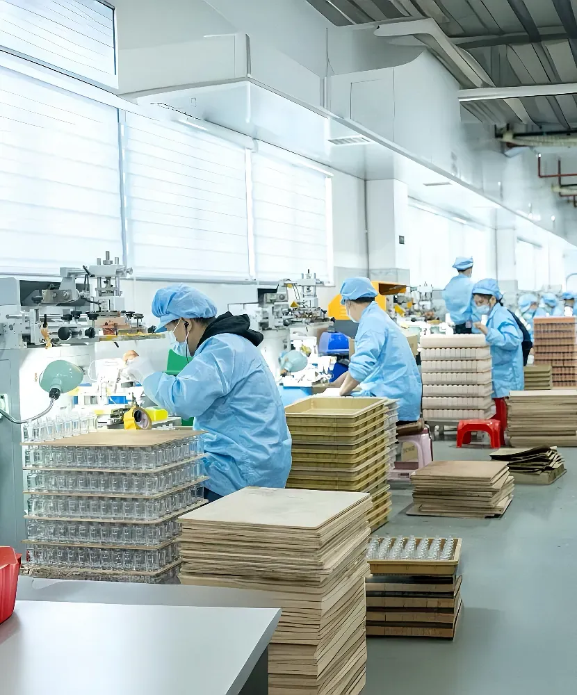 Quality Control and Validation of the Packaging Process